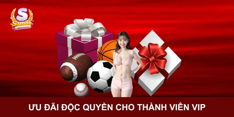 Ưu đãi dành cho thành viên VIP tại cổng